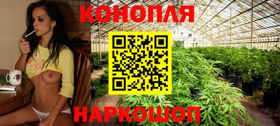 прущие крисы Канаш
