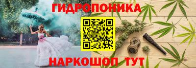 прущие крисы Канаш
