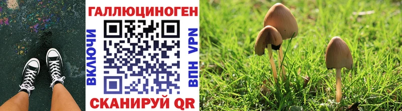 Псилоцибиновые грибы GOLDEN TEACHER  хочу наркоту  Москва 