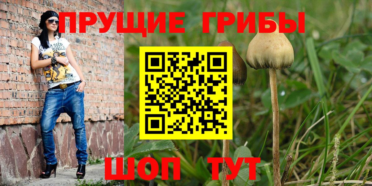 Галлюциногенные грибы Cubensis Москва