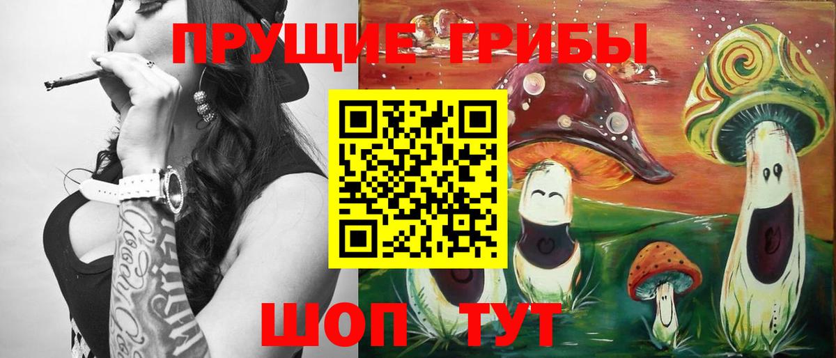 Москва  Псилоцибиновые грибы Psilocybe  Вход с VPN 