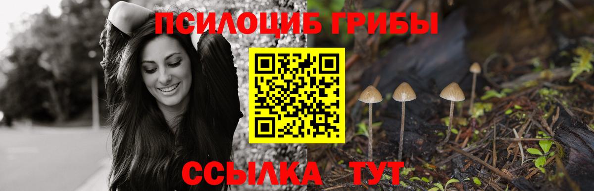 Псилоцибиновые грибы прущие грибы Москва